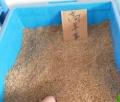 詳細(xì)介紹煙臺糊料的組成部分